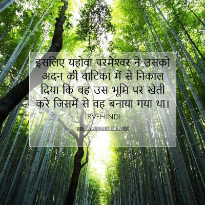 Picture 07 - उत्पत्ति 3:23 HINIRV - इसलिए यहोवा - Bible Verse Picture