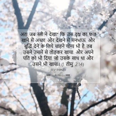 Picture 07 - उत्पत्ति 3:6 HINIRV - अतः जब स्त्री ने - Bible Verse Picture