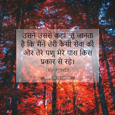 Picture 07 - उत्पत्ति 30:29 HINIRV - उसने उससे कहा, “तू - Bible Verse Picture