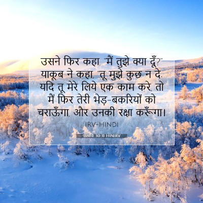 Picture 07 - उत्पत्ति 30:31 HINIRV - उसने फिर कहा, “मैं - Bible Verse Picture
