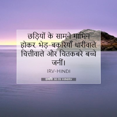 Picture 07 - उत्पत्ति 30:39 HINIRV - छड़ियों के सामने - Bible Verse Picture