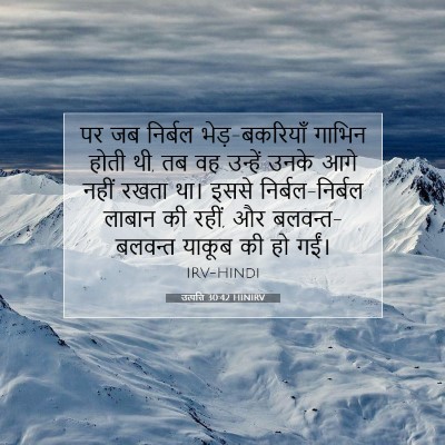 Picture 07 - उत्पत्ति 30:42 HINIRV - पर जब निर्बल - Bible Verse Picture