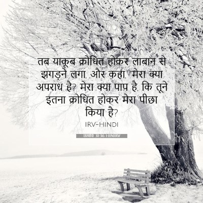 Picture 07 - उत्पत्ति 31:36 HINIRV - तब याकूब क्रोधित - Bible Verse Picture