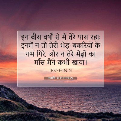Picture 07 - उत्पत्ति 31:38 HINIRV - इन बीस वर्षों से - Bible Verse Picture