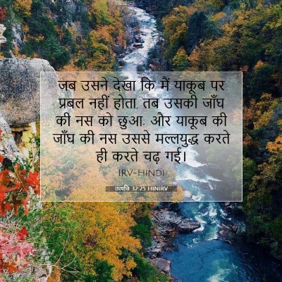 Picture 07 - उत्पत्ति 32:25 HINIRV - जब उसने देखा कि मैं - Bible Verse Picture