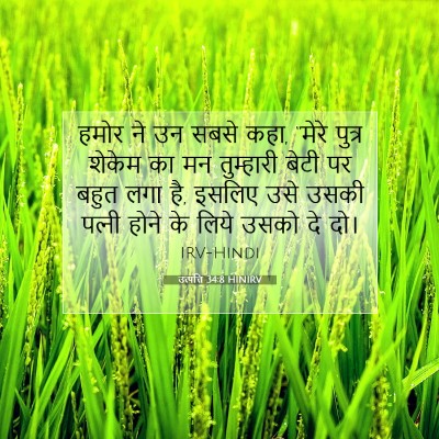 Picture 07 - उत्पत्ति 34:8 HINIRV - हमोर ने उन सबसे - Bible Verse Picture