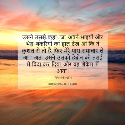 Picture 07 - उत्पत्ति 37:14 HINIRV - उसने उससे कहा, “जा, - Bible Verse Picture