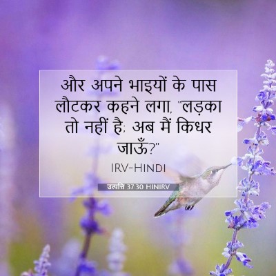 Picture 07 - उत्पत्ति 37:30 HINIRV - और अपने भाइयों के - Bible Verse Picture