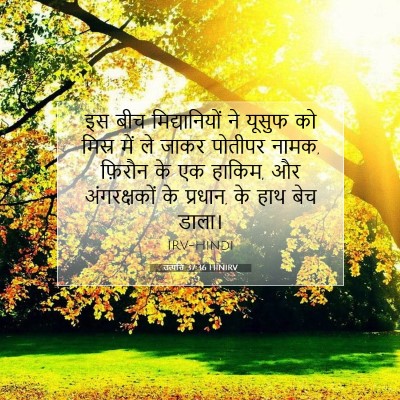 Picture 07 - उत्पत्ति 37:36 HINIRV - इस बीच - Bible Verse Picture