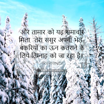 Picture 07 - उत्पत्ति 38:13 HINIRV - और तामार को यह - Bible Verse Picture