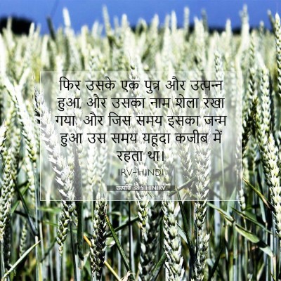 Picture 07 - उत्पत्ति 38:5 HINIRV - फिर उसके एक पुत्र - Bible Verse Picture