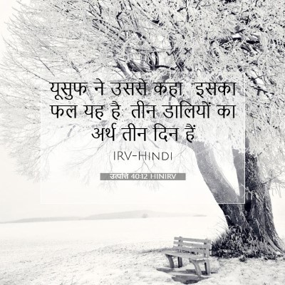 Picture 07 - उत्पत्ति 40:12 HINIRV - यूसुफ ने उससे कहा, - Bible Verse Picture