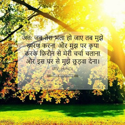 Picture 07 - उत्पत्ति 40:14 HINIRV - अतः जब तेरा भला हो - Bible Verse Picture