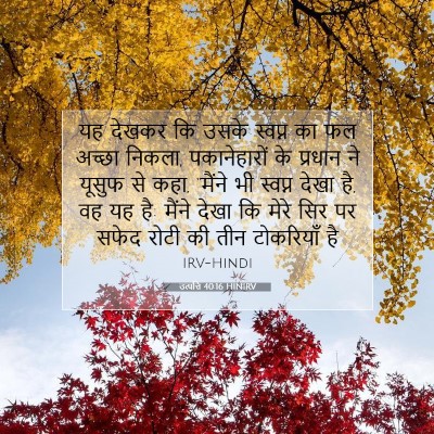 Picture 07 - उत्पत्ति 40:16 HINIRV - यह देखकर कि उसके - Bible Verse Picture