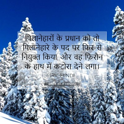Picture 07 - उत्पत्ति 40:21 HINIRV - पिलानेहारों के - Bible Verse Picture