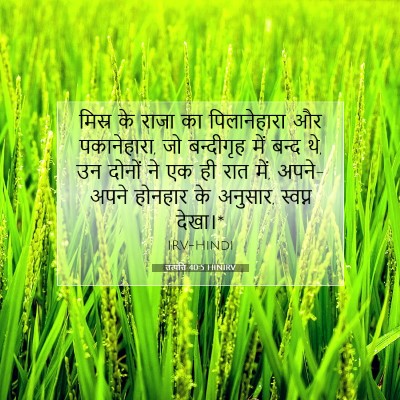 Picture 07 - उत्पत्ति 40:5 HINIRV - मिस्र के राजा का - Bible Verse Picture