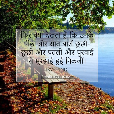 Picture 07 - उत्पत्ति 41:23 HINIRV - फिर क्या देखता हूँ, - Bible Verse Picture