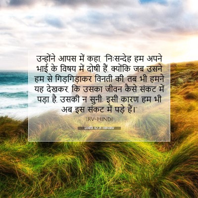 Picture 07 - उत्पत्ति 42:21 HINIRV - उन्होंने आपस में - Bible Verse Picture