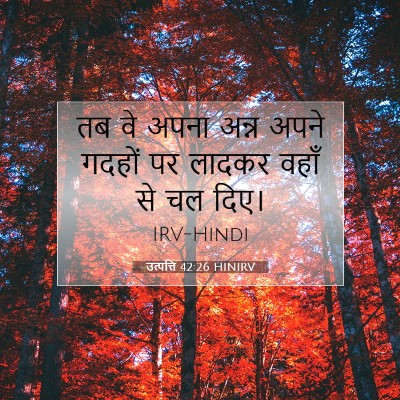 Picture 07 - उत्पत्ति 42:26 HINIRV - तब वे अपना अन्न - Bible Verse Picture