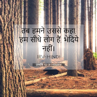 Picture 07 - उत्पत्ति 42:31 HINIRV - तब हमने उससे कहा, - Bible Verse Picture