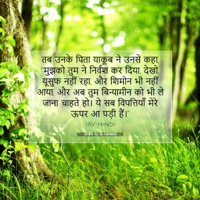Picture 07 - उत्पत्ति 42:36 HINIRV - तब उनके पिता याकूब - Bible Verse Picture