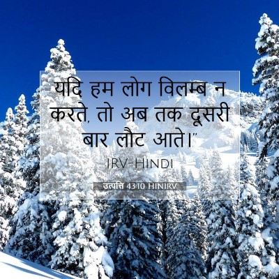 Picture 07 - उत्पत्ति 43:10 HINIRV - यदि हम लोग विलम्ब न - Bible Verse Picture