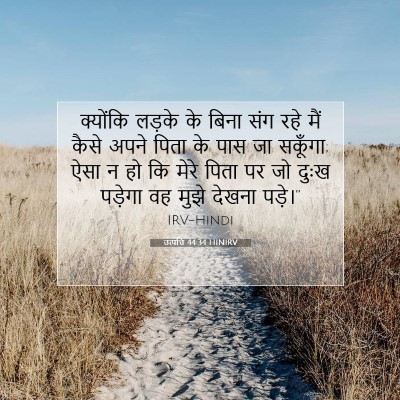 Picture 07 - उत्पत्ति 44:34 HINIRV - क्योंकि लड़के के - Bible Verse Picture