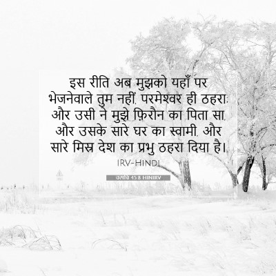 Picture 07 - उत्पत्ति 45:8 HINIRV - इस रीति अब मुझको - Bible Verse Picture