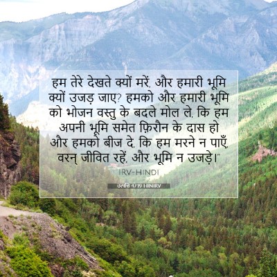 Picture 07 - उत्पत्ति 47:19 HINIRV - हम तेरे देखते - Bible Verse Picture