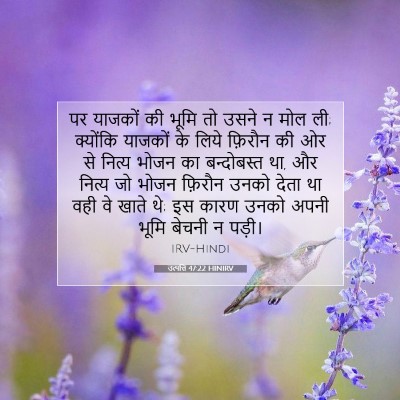 Picture 07 - उत्पत्ति 47:22 HINIRV - पर याजकों की भूमि - Bible Verse Picture