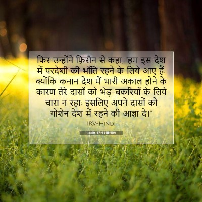 Picture 07 - उत्पत्ति 47:4 HINIRV - फिर उन्होंने - Bible Verse Picture