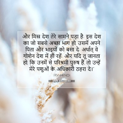 Picture 07 - उत्पत्ति 47:6 HINIRV - और मिस्र देश तेरे - Bible Verse Picture