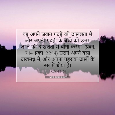 Picture 07 - उत्पत्ति 49:11 HINIRV - वह अपने जवान गदहे - Bible Verse Picture