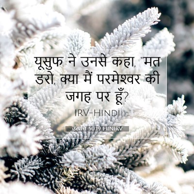 Picture 07 - उत्पत्ति 50:19 HINIRV - यूसुफ ने उनसे कहा, - Bible Verse Picture