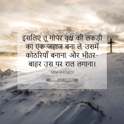 Picture 07 - उत्पत्ति 6:14 HINIRV - इसलिए तू गोपेर - Bible Verse Picture
