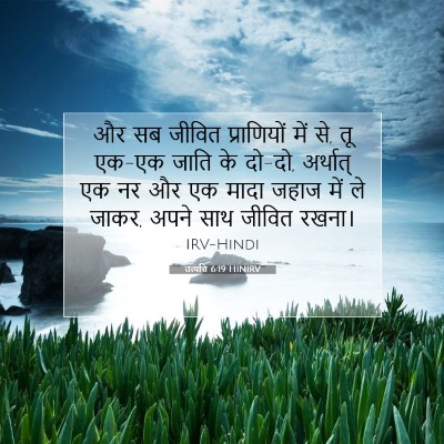 Picture 07 - उत्पत्ति 6:19 HINIRV - और सब जीवित - Bible Verse Picture