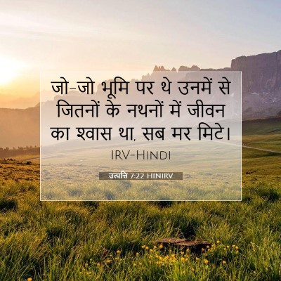 Picture 07 - उत्पत्ति 7:22 HINIRV - जो-जो भूमि पर थे - Bible Verse Picture