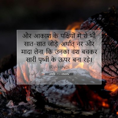 Picture 07 - उत्पत्ति 7:3 HINIRV - और आकाश के - Bible Verse Picture