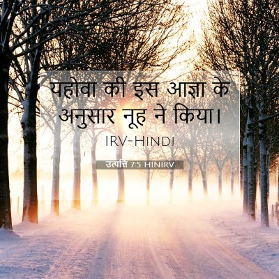Picture 07 - उत्पत्ति 7:5 HINIRV - यहोवा की इस आज्ञा - Bible Verse Picture