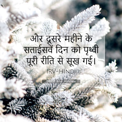 Picture 07 - उत्पत्ति 8:14 HINIRV - और दूसरे महीने के - Bible Verse Picture
