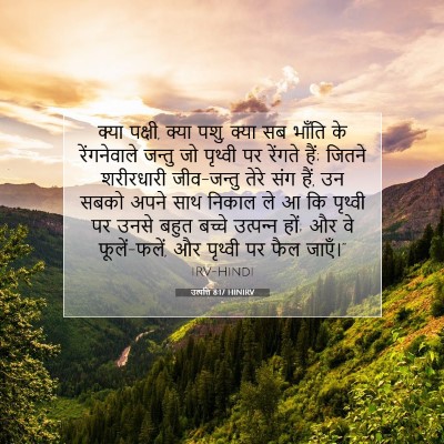 Picture 07 - उत्पत्ति 8:17 HINIRV - क्या पक्षी, क्या - Bible Verse Picture