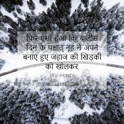 Picture 07 - उत्पत्ति 8:6 HINIRV - फिर ऐसा हुआ कि - Bible Verse Picture