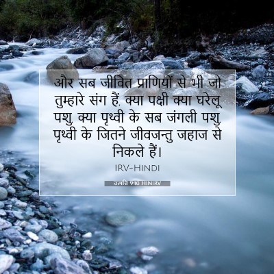 Picture 07 - उत्पत्ति 9:10 HINIRV - और सब जीवित - Bible Verse Picture