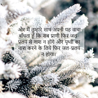 Picture 07 - उत्पत्ति 9:11 HINIRV - और मैं तुम्हारे - Bible Verse Picture