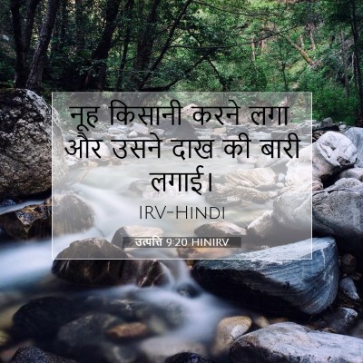 Picture 07 - उत्पत्ति 9:20 HINIRV - नूह किसानी करने - Bible Verse Picture