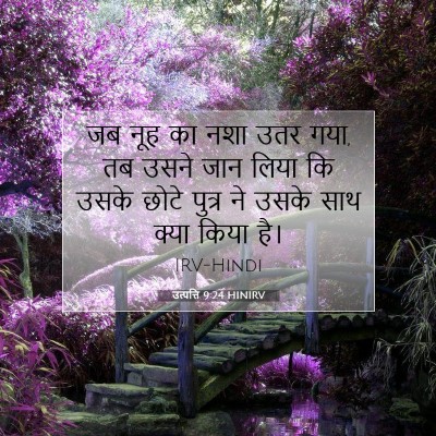 Picture 07 - उत्पत्ति 9:24 HINIRV - जब नूह का नशा उतर - Bible Verse Picture