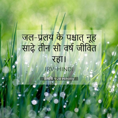 Picture 07 - उत्पत्ति 9:28 HINIRV - जल-प्रलय के - Bible Verse Picture