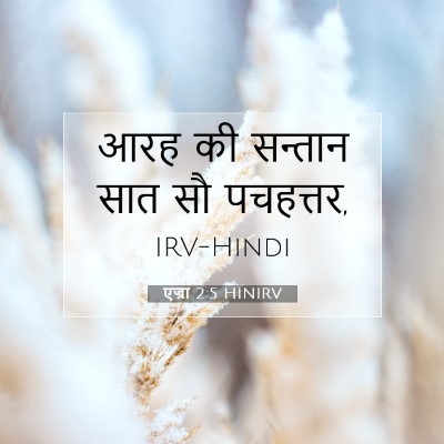 Picture 07 - एज्रा 2:5 HINIRV - आरह की सन्तान सात - Bible Verse Picture