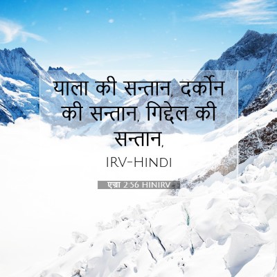 Picture 07 - एज्रा 2:56 HINIRV - याला की सन्तान, - Bible Verse Picture