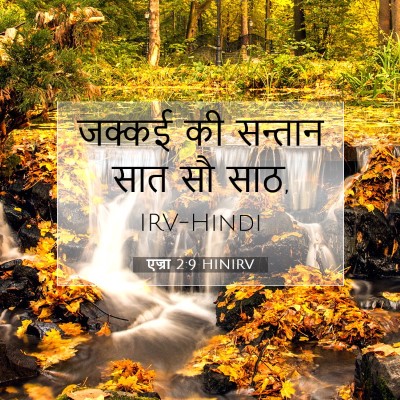 Picture 07 - एज्रा 2:9 HINIRV - जक्कई की सन्तान - Bible Verse Picture